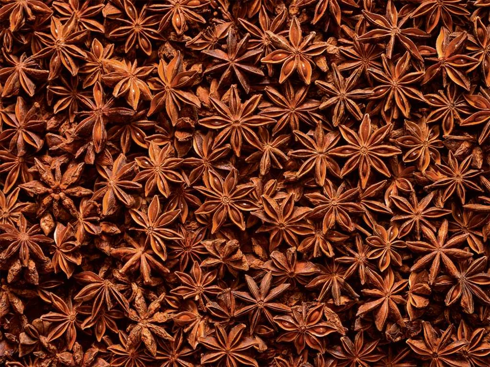 Whole Star Anise Vietnam Wholesale Grade 1 Price factory Hanfimex natural forest Vietnam Origin hot seller Autumn new crop