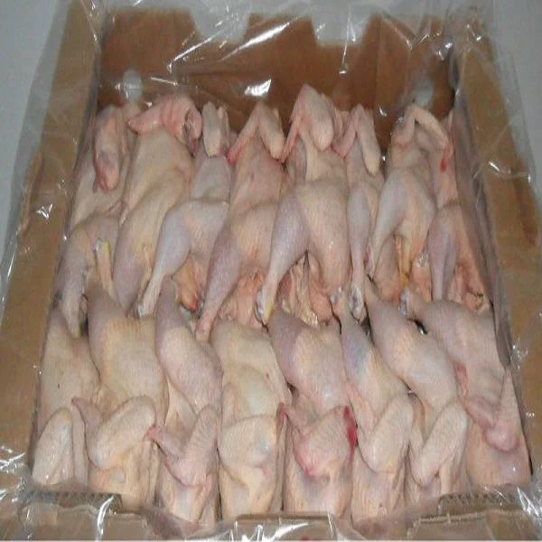 Halal Grade Chicken Feet / Chicken Wings with 40% Discount for Bulk Buyers