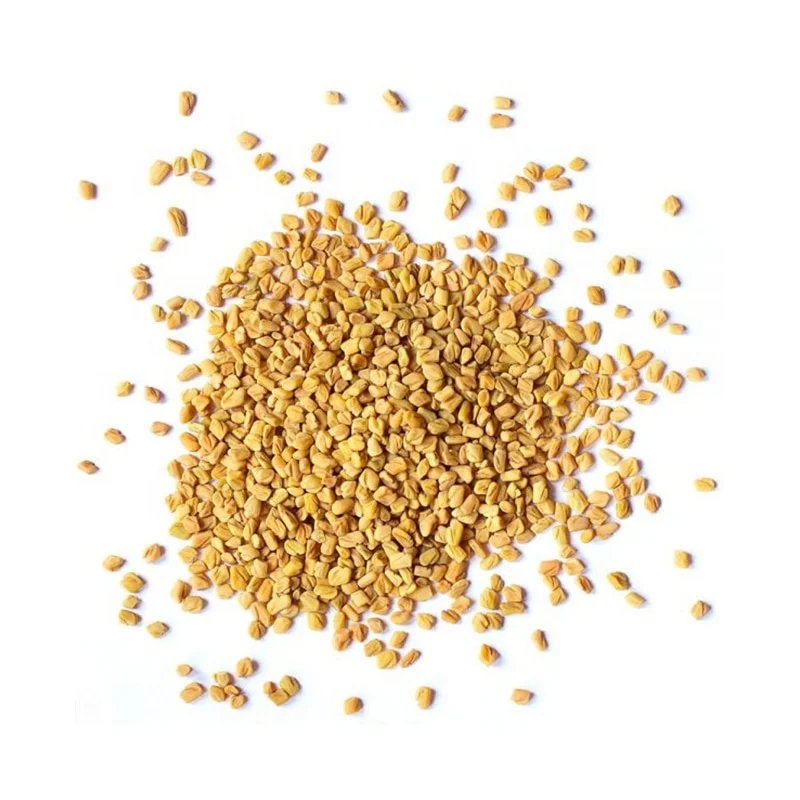 
Fenugreek Seeds from India 