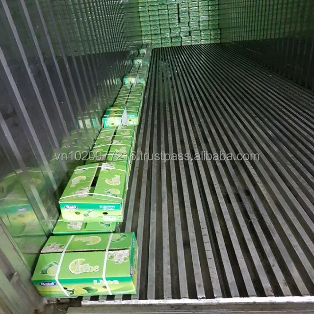 Green lemon/ Fresh lemon seedless/ fresh fuit hight quality