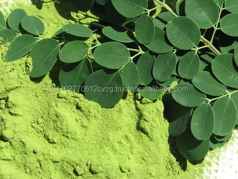 
Dried, Powder, Oil moringa 100% Natural Product of Thailand 