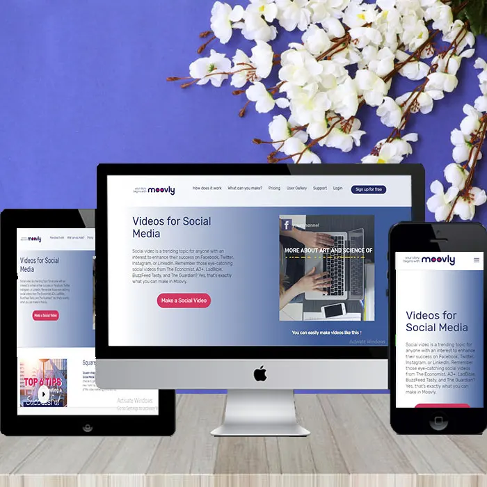 Разработка веб-сайта для потоковой передачи видео | Мобильное приложение для потоковой передачи и услуги по разработке сайта от ProtoLabz