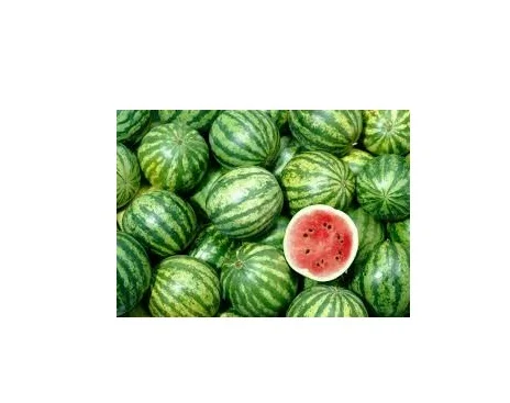 
Hybrid green Fresh Watermelon for sale..,, 