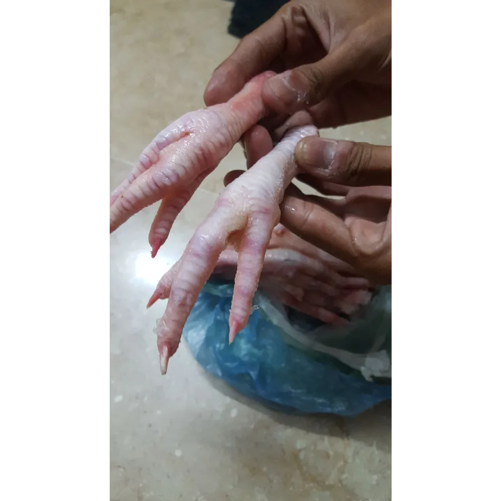
Processed Chicken Feet and Processed Chicken Paws For China Viatnam HongKong 