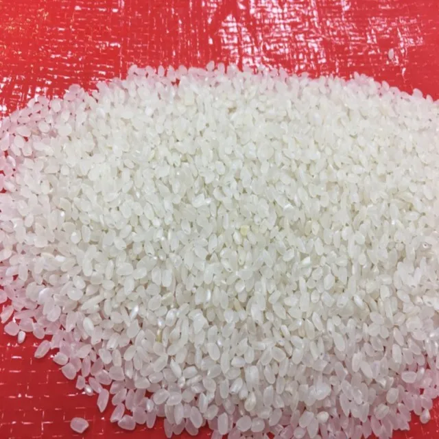 VIETNAM 5% BROKEN CALROSE RICE AT LOWEST PRICE