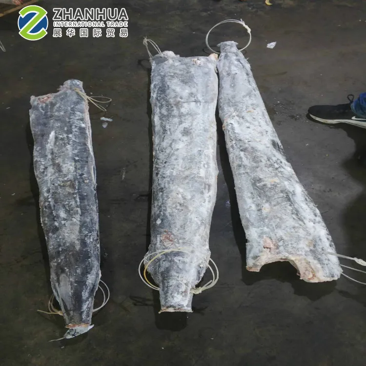 Taiwan Black  Marlin HGT Sea Frozen  For Sri Lanka