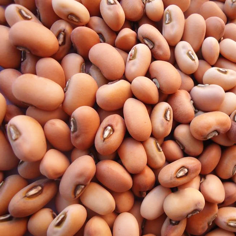
Bulk Natural Dried Cow Peas Kidney Beans 