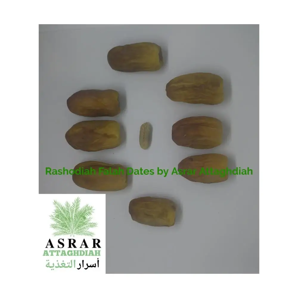 
Rashodiah Dates | 100% Premium Natural Saudi Dates 