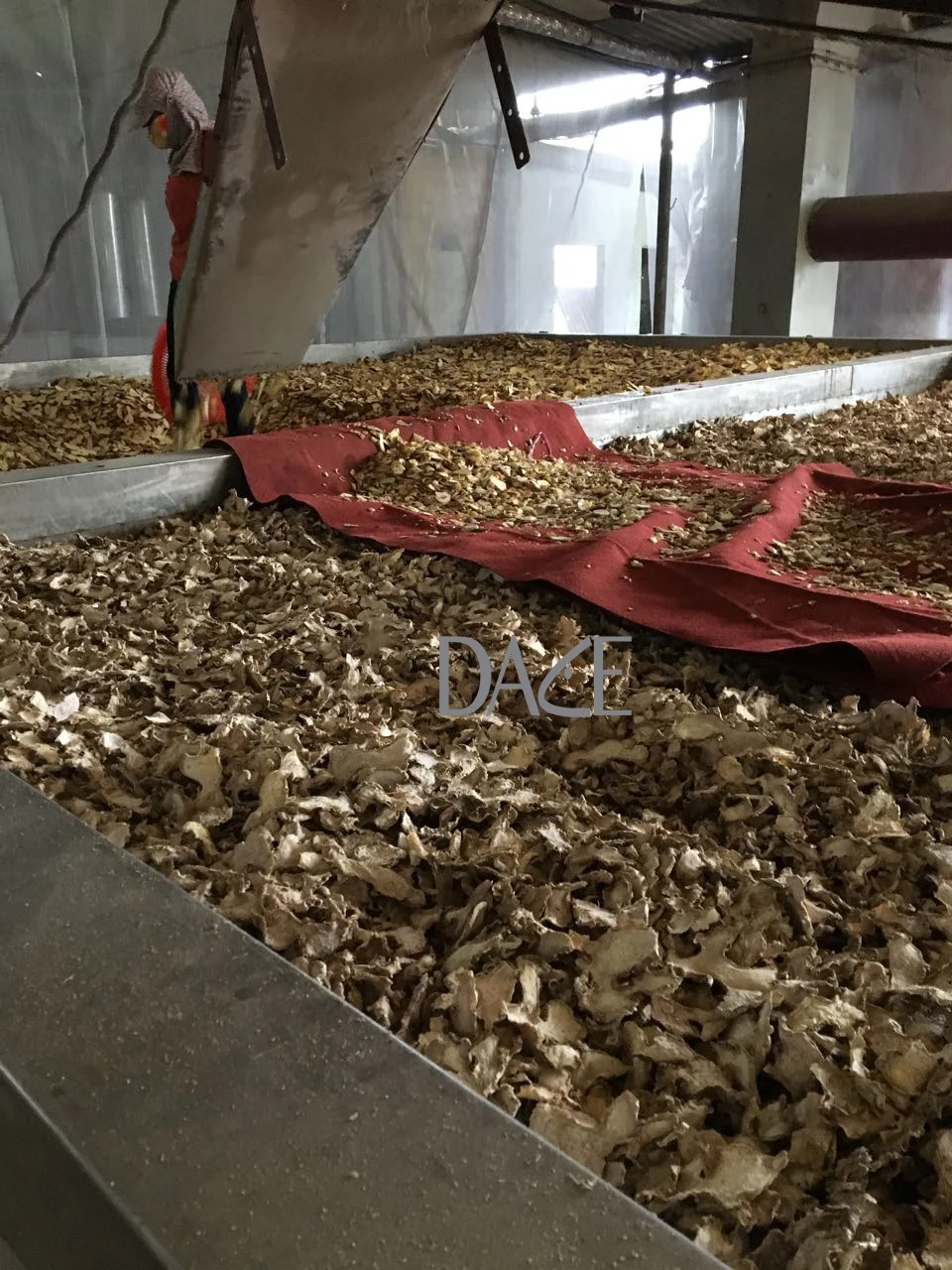 Vietnamese organic dried ginger slice