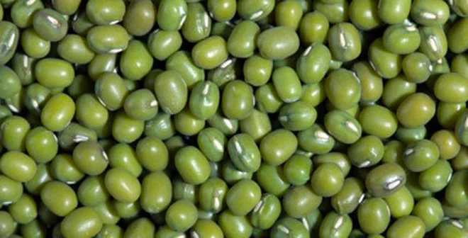 GREEN MUNG BEANS SKIN ON/HAFT CUT BEST PRICE GOOD QUALITY