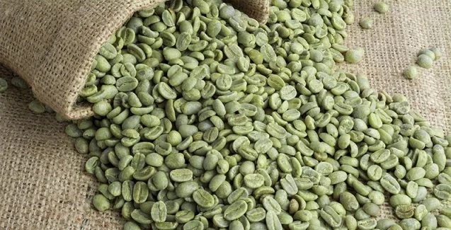 
Hot sale Brazilian Arabic Natural Coffee Beans 