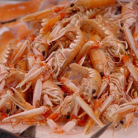 
VIETNAMESE DRIED SHRIMP SHELL FOR SALE (LARGE AMMOUNT) / DRIED SHIRM SHELL POWDER (WHOLE AND CLEAN) 