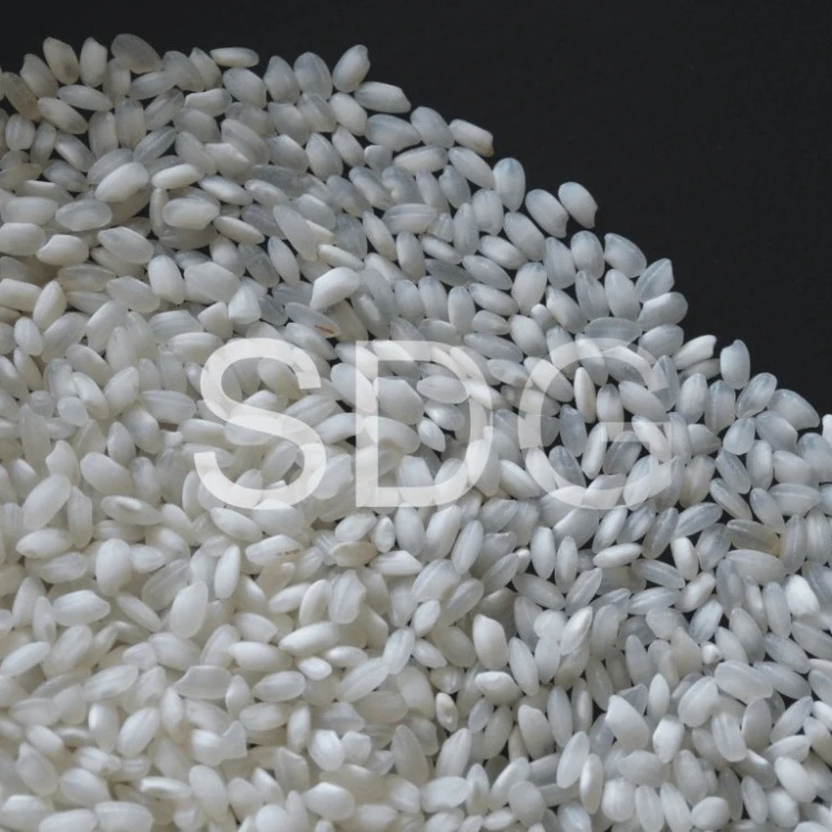 World Best Rice Egyptian Short Grain Camolina Rice Best Wholesaler and Supplier Bulk Exporter With Low Price