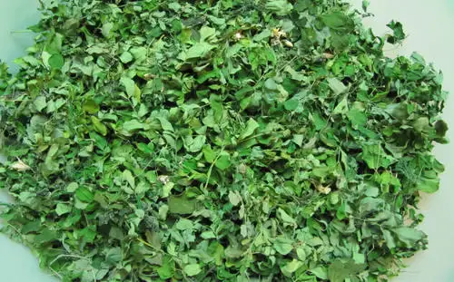
Moringa dried leaves/moringa leaves/Horseradish treein Viet Nam 