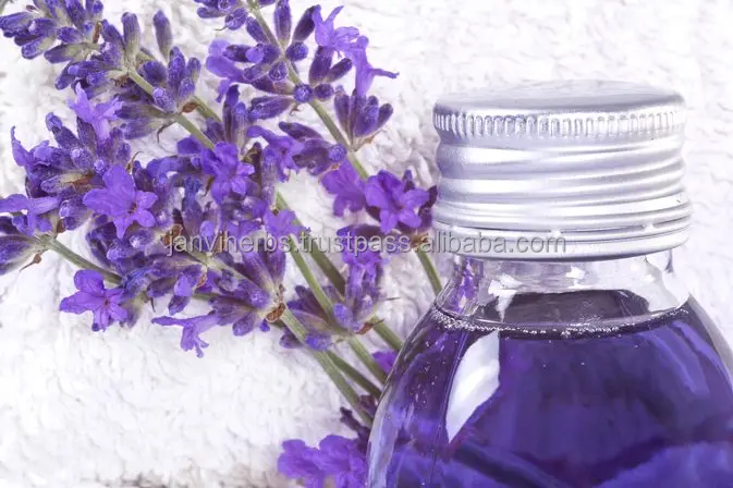 High Quality GMP Certified 100% Pure and Organic Lavender Oil