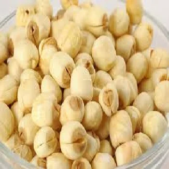 [HOT DEAL 2023] -- LOTUS SEED - TOP QUALITY & BEST PRICE from VIETNAM WHOLESALE 2023