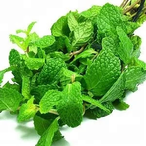 Organic Food Grade 100% Pure & Natural  Mentha Piperita Peppermint Essential Oil