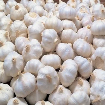 Quality  Fresh garlic/Normal White Garlic/Pure White Garlic for sale