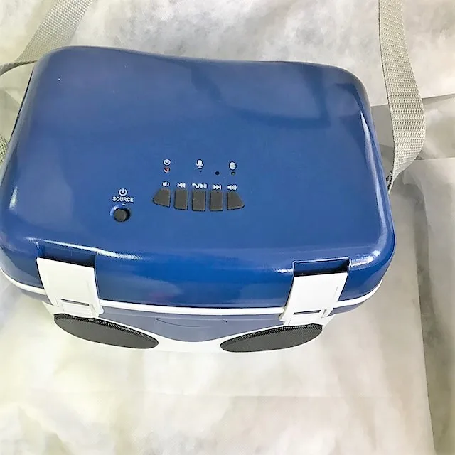 Mini music cooler box with built in wireless speaker and rechargeable battery  for outdoor