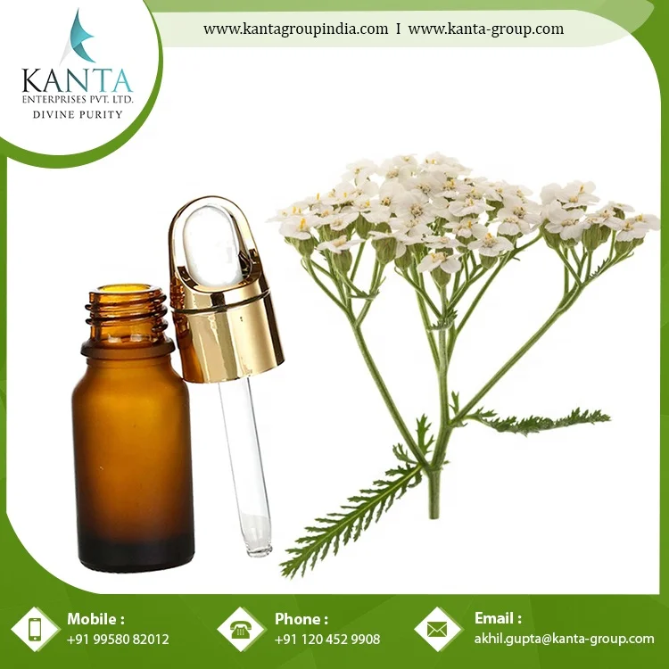 Private Label OEM / ODM Supply 100% Original Yarrow Essential Oil Buy at Wholesale Price