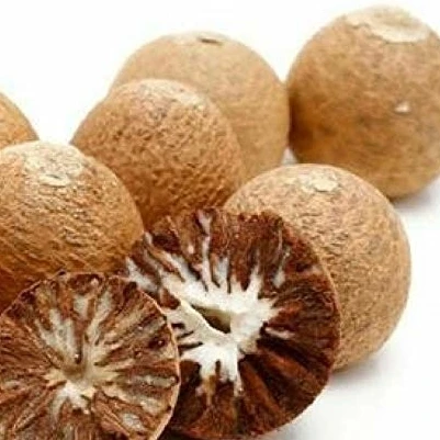 betel nut in myanmar