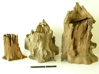 Premium Home Garden Decoration, Flower Planting Pot tree stump, Natural Driftwood