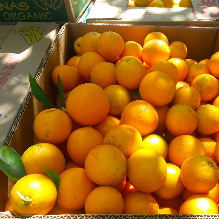 
Fresh Citrus Naval oranges, Lemons,Mandarins,valencia orange,Lime for sale 