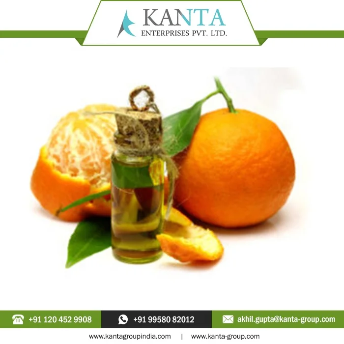 Cold Pressed rich in vitamin C Pure and Natural Tangerine Oil With Best Price buy from Manufacturer
