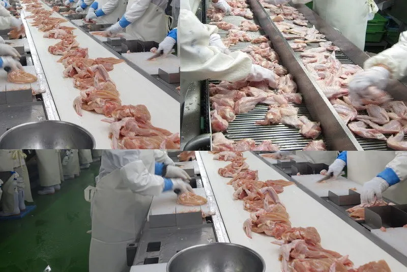 Halal Frozen Chicken Paw/Chicken Feet/Whole Frozen Grade