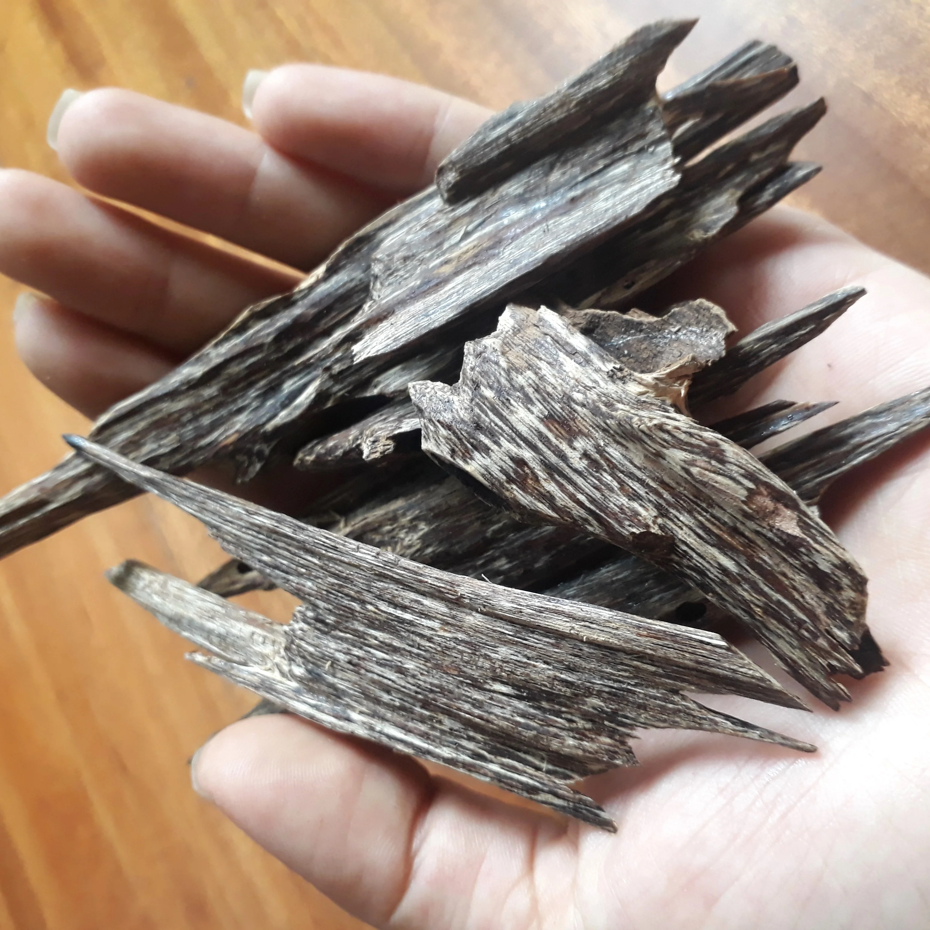 Tram Tue Oud Oudy Wood Chips creating by ant from Vietnam for making Oudh Incense