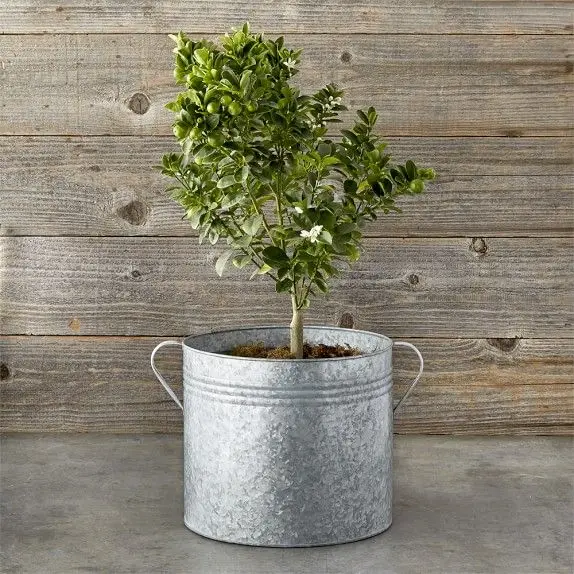 Best Offers High Grade Tin Metal Made Galvanized Planter For Garden Decoration Uses For Wholesale Prices