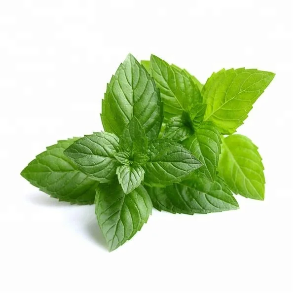 Organic Food Grade 100% Pure & Natural  Mentha Piperita Peppermint Essential Oil