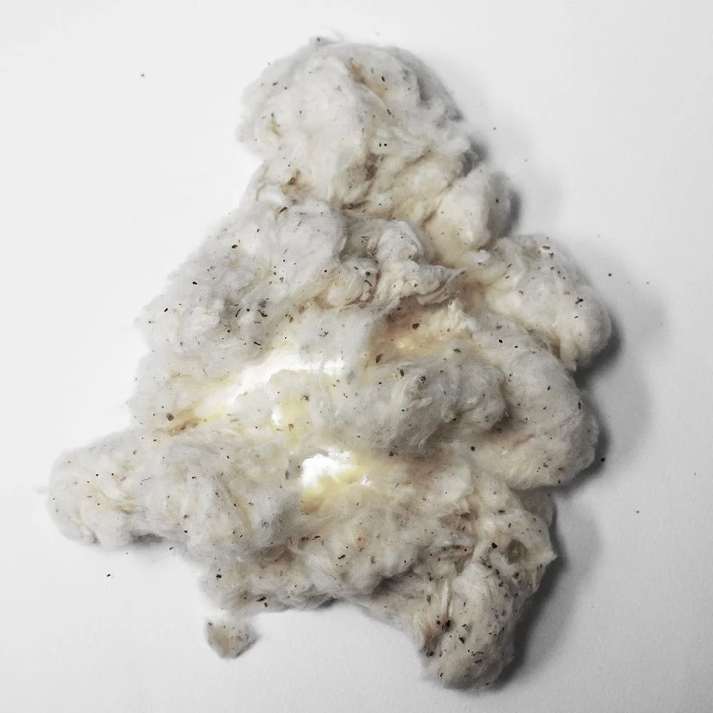 
Cost Competitive for Open End spinning Raw White Low Grade Raw Cotton 