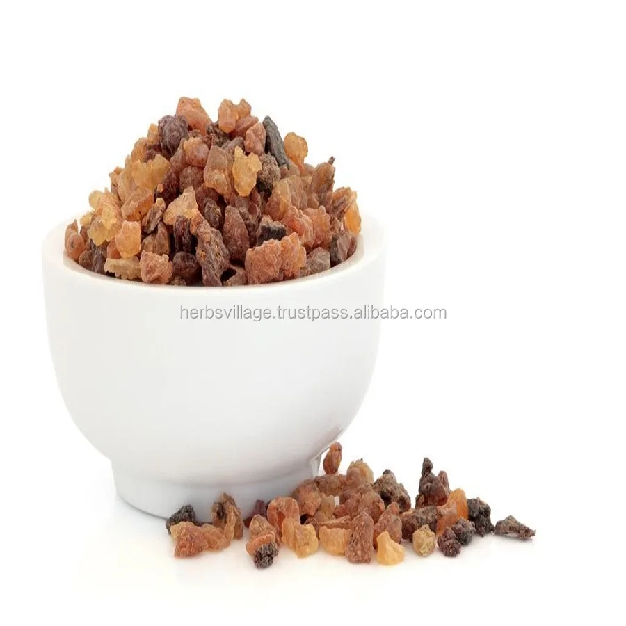 ISO/GMP Cetrified Natural Guggul Extract Powder