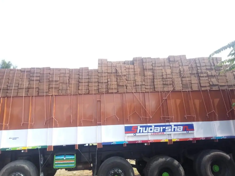 coco peat fertilizer / Powder