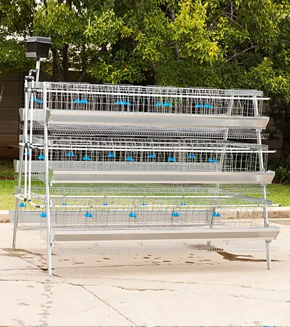 
 4-дверный шкаф клетка для цыплят для egge chickenfarm в малайзии  