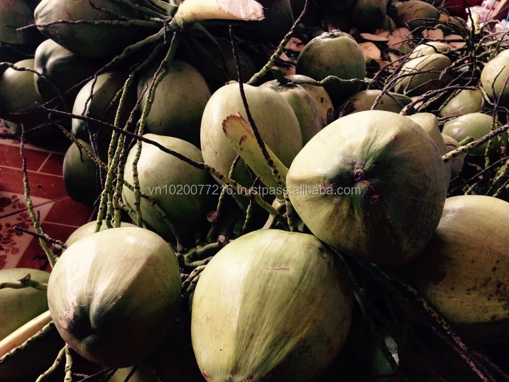 Свежий кокос