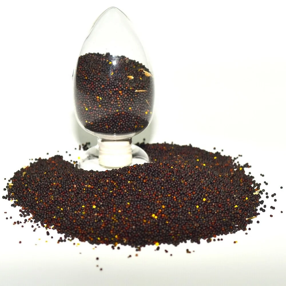 Семена изнасилования, черные рапсы