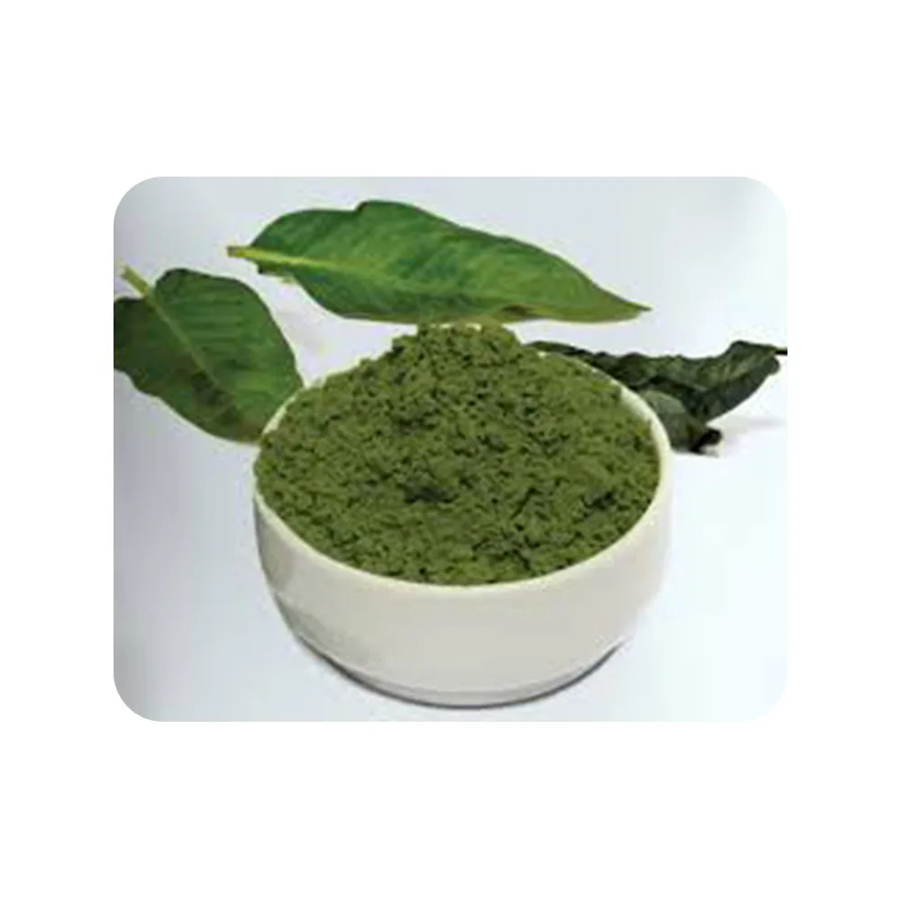 Indian Bulk Exporter of Natural Indigo Leaf Powder