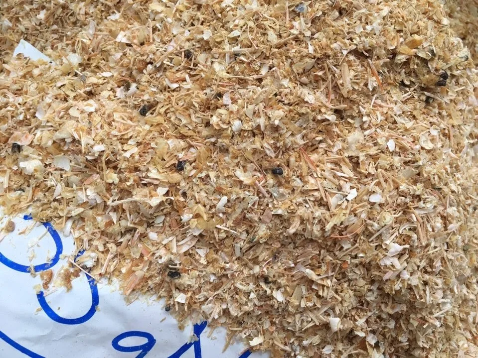 
Dry Shrimp Shells Powder For Make Animal Feed /Dried Shrimp Head SOPHIE WHATSAPP 0084845639639 