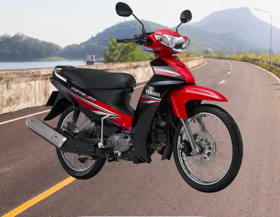 New Design Motorbike 110cc