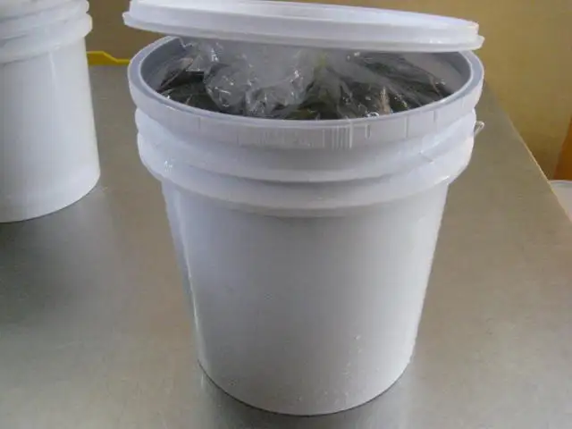 GHERKINS IN PLASTIC BUCKETS