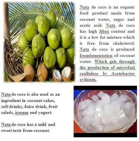NATA DE COCO EXPORT - Axel TL + 84 38 776 0892