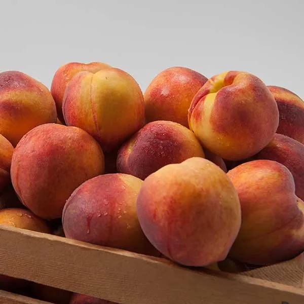 
High Quality Fresh Sweet Peaches 
