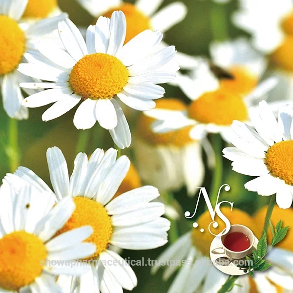  Цветочный ромашковый чай с травяным лемонграссом расслабление детоксикация для похудения товар безалкогольных напитков сделано в Японии oem доступны частные этикетки