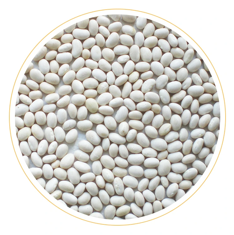 Baishake Natural Plant Pure White Kidney Bean