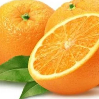 Fresh orange with best price for export from Egypt
