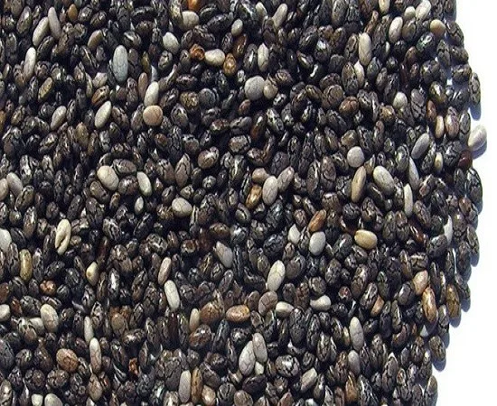 Pure & Natural Chia fruits from India