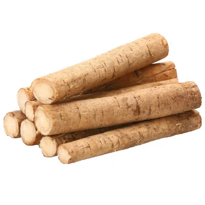 
Fresh Burdock available for export 