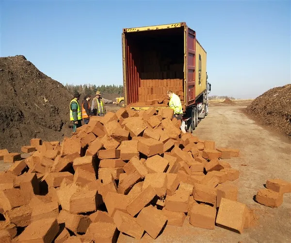 
Экспортеры торфа коко в Китай 